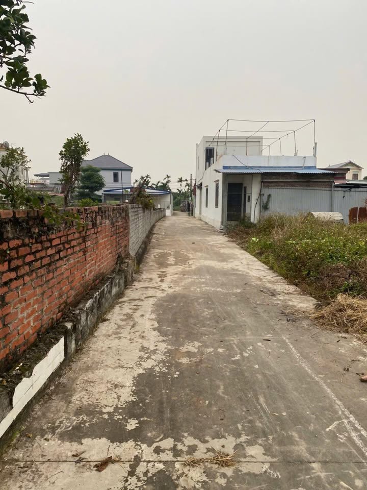 Đất nền Tân Viên An Lão 71m² giá chỉ 500 triệu - Cơ hội đầu tư hấp dẫn!