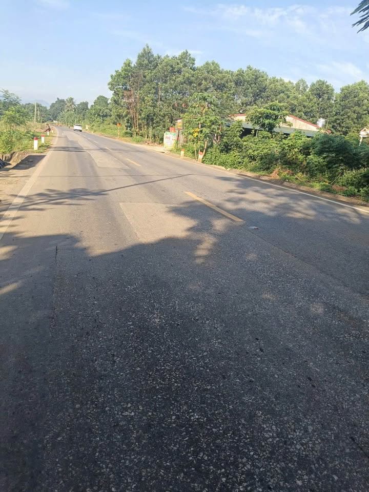 Đất thổ cư 641m² tại đường mòn Hồ Chí Minh, xã Quang Trung - Giá cắt lỗ chỉ 1 tỷ!