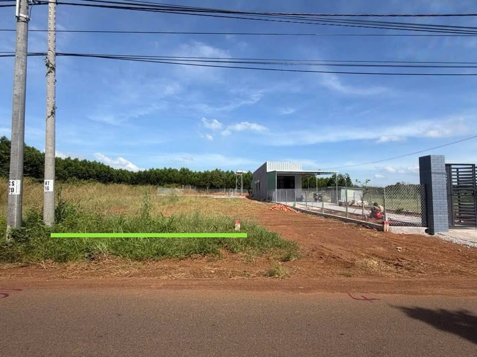 Đất thổ cư 210m² tại Long Tân, Đất Đỏ chỉ 920 triệu - Sổ hồng riêng, thương lượng nhẹ!