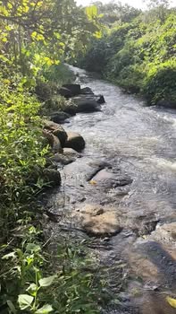 Đất nền Quảng Hiệp, Cư M'gar 7000m² giá 1.75 tỷ - View suối tuyệt đẹp!