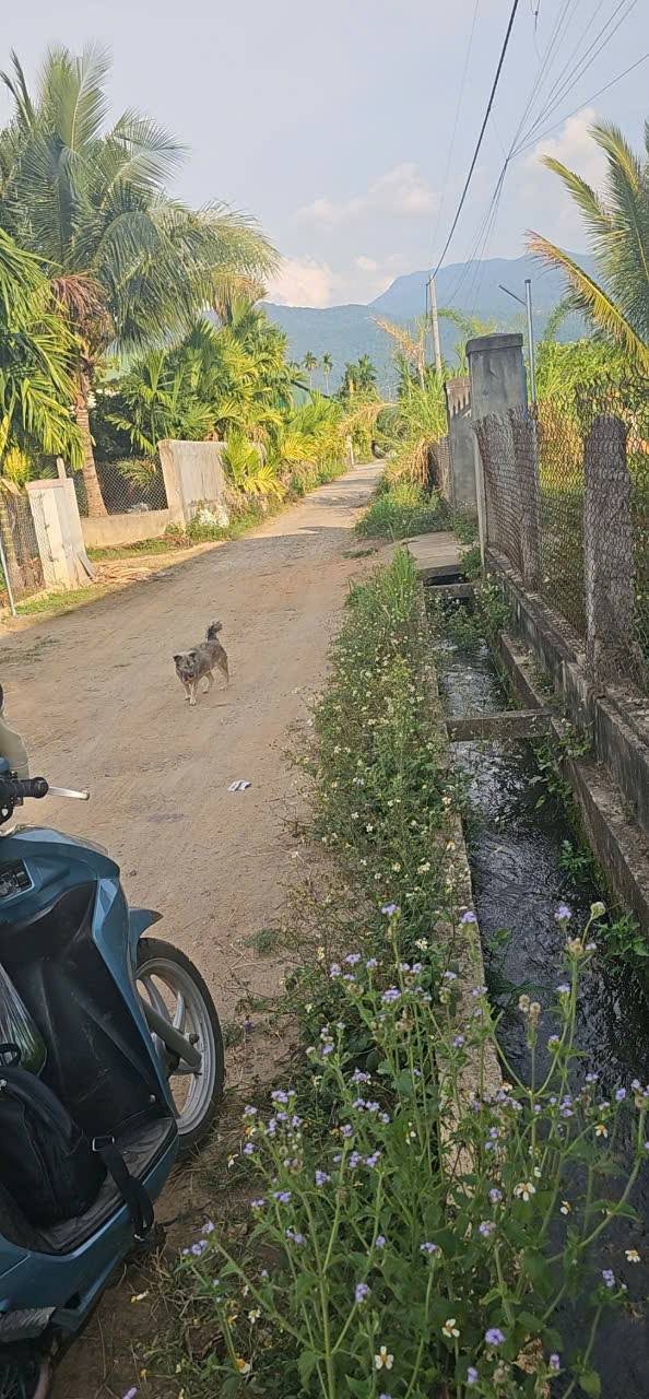 Đất nền Hòa Sơn Krông Bông 500m² giá 600 triệu - Sổ đỏ chính chủ, bao bìa!