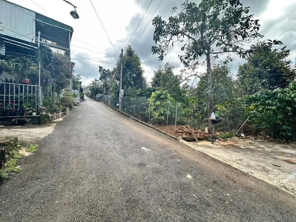 Đất hẻm 112 Mạc Đĩnh Chi, Bảo Lộc 97m² - Dân cư hiện hữu, giá tốt!