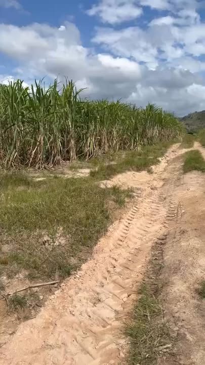 Farm 14.5ha tại xã Chư Răng, huyện Ia Pa - Giá 4.2 tỷ, Đầu tư sinh lời!