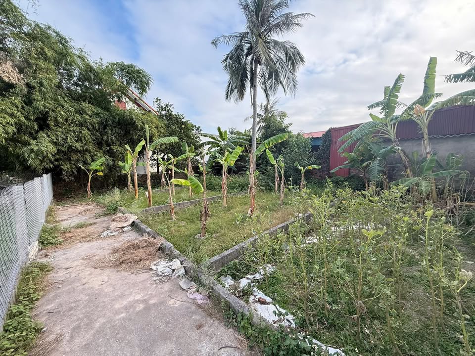 Đất nền Tĩnh Hải, Hòa Nghĩa, Dương Kinh 40m² giá 500 triệu - Cơ hội đầu tư tuyệt vời!