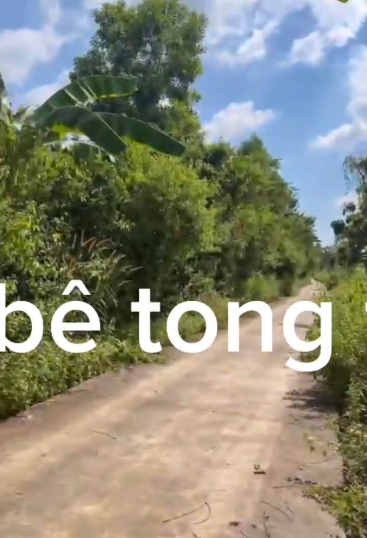 Đất nền Phú Tân 1010m² giá chỉ 360 triệu - Sổ đỏ chính chủ, ô tô vào tận nơi!