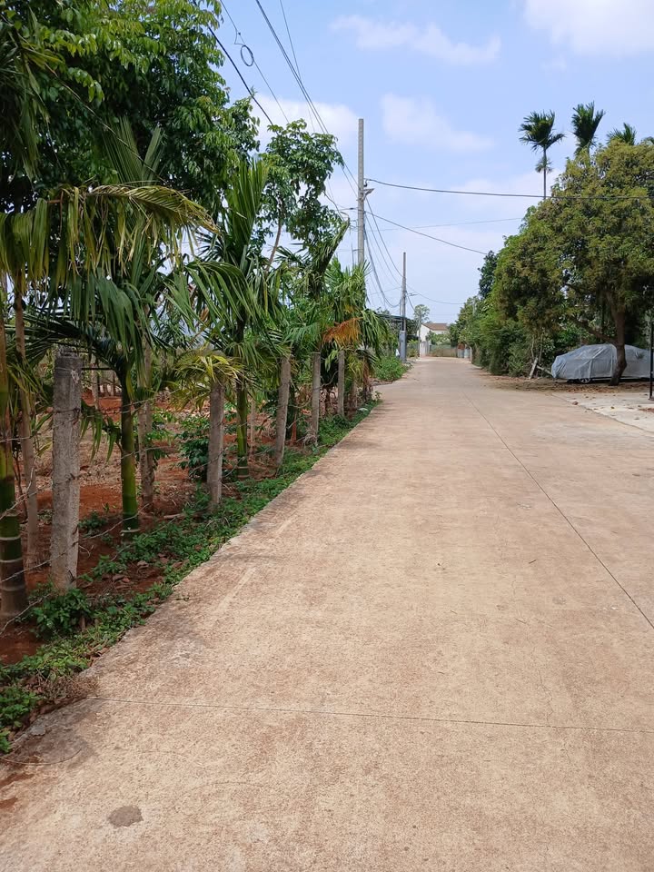 Đất thổ cư tại Cư Suê 120m² giá 2.7 tỷ - Cơ hội đầu tư tuyệt vời!