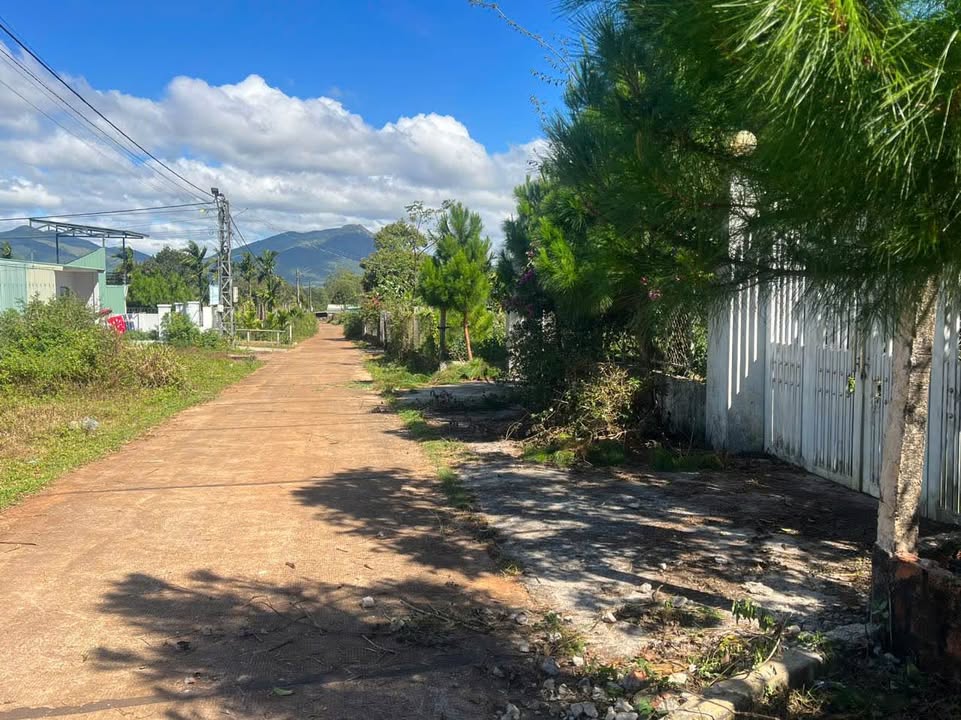 Đất nền đẹp tại Hẻm 13 Đào Duy Từ, Pleiku 150m² - Tiềm năng đầu tư lớn!