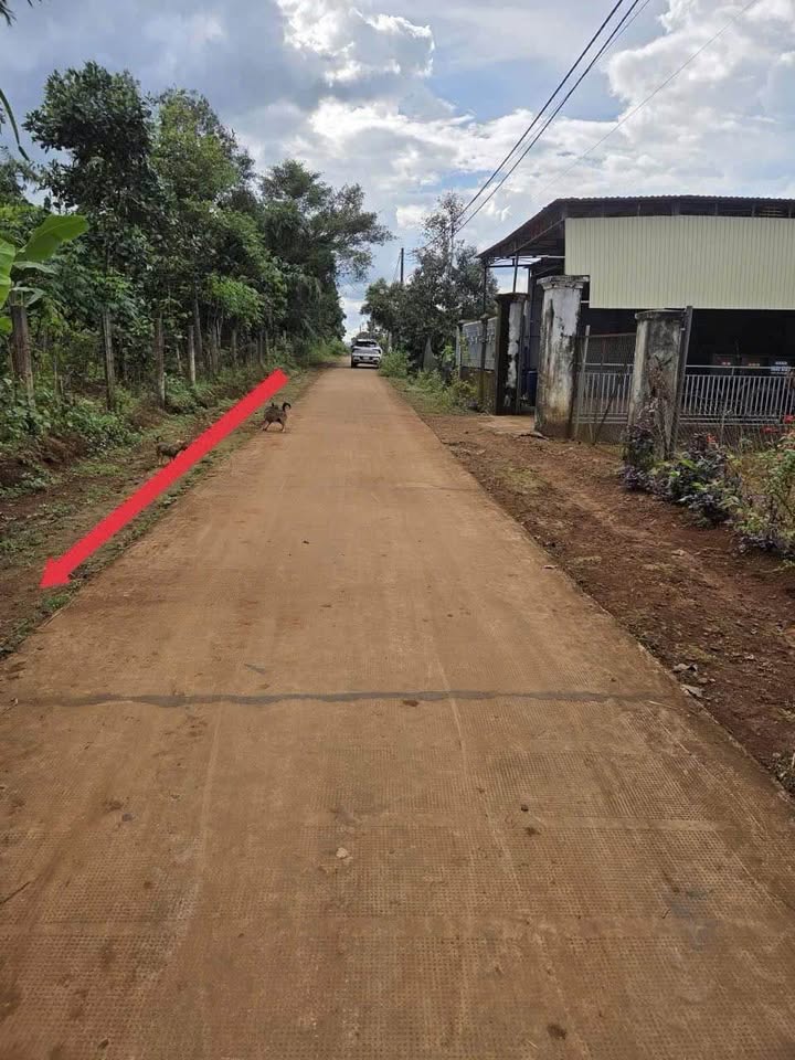 Đất nền Hẻm 412 Trường Sơn Pleiku 135m² - Sổ đỏ chính chủ, giá tốt!