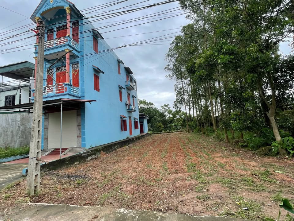 Đất thổ cư Ngọc Thiện Tân Yên 141m² giá 1.5 tỷ - Đầu tư sinh lời ngay!