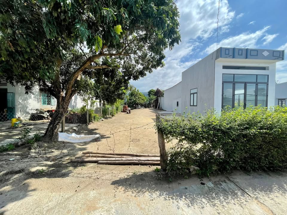 Lô đất Cư An Đak Pơ 168m² giá 420 triệu - Nơi an cư lý tưởng cho gia đình nhỏ!