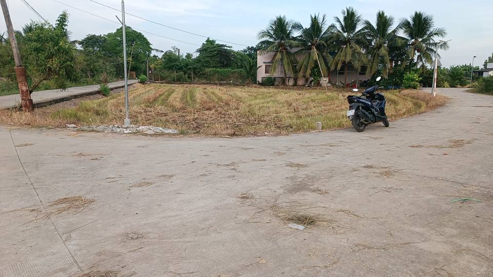 Đất thổ cư 900m² Tân Trụ, Long An - Đường Nguyễn Văn Tung, giá 1.099 tỷ - Đầu tư sinh lời ngay!