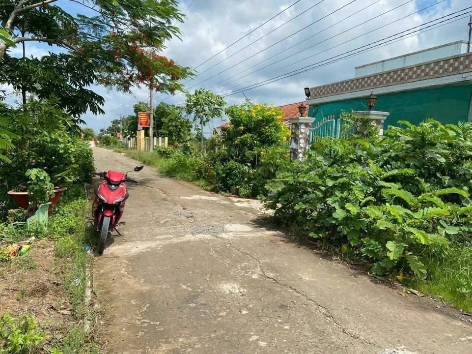 Đất nền 180m² tại Ấp 5, Tân Tây Thạnh Hóa chỉ 420 triệu - View kênh thoáng mát!