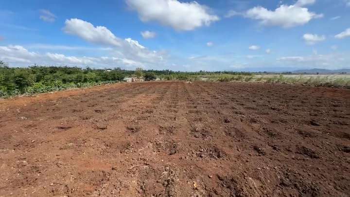 Đất thổ cư 1ha tại xã Ea Na - Đăk Lắk chỉ 8.64 tỷ - Cơ hội đầu tư hấp dẫn!