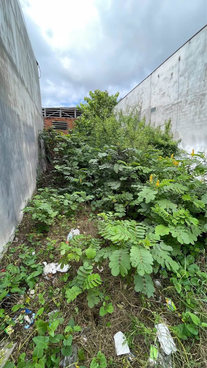 Bán lô đất 66m² đường Thống Nhất, phường Đài Sơn, TP Phan Rang - Tháp Chàm - Giá chỉ 830 triệu!