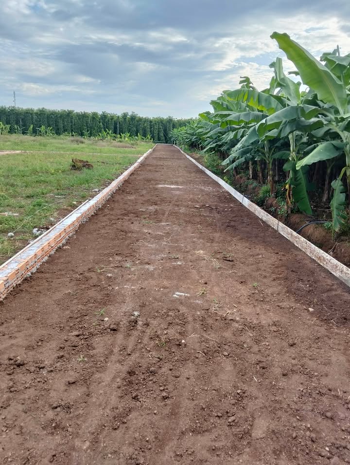 Đất thổ cư Hoài Đức 464m² giá 400 triệu - Cơ hội đầu tư tuyệt vời!