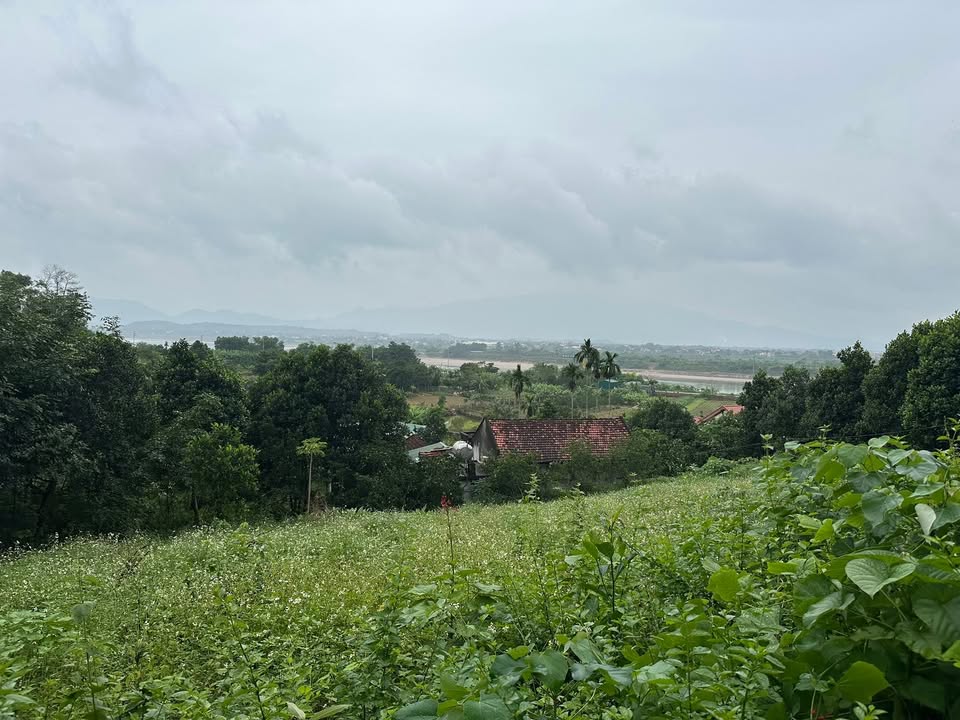 Đất nền Minh Quang, Ba Vì 720m² chỉ 1.1 tỷ - Tiềm năng nghỉ dưỡng cao!