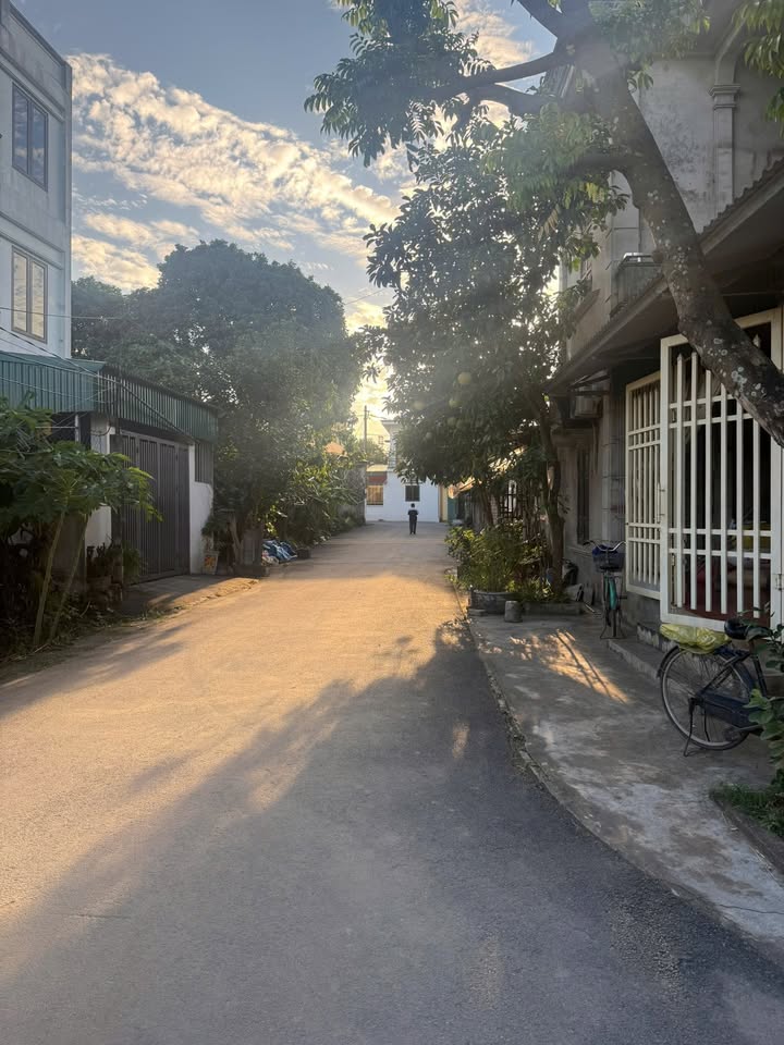 Đất nền Ninh Khang, Hoa Lư 100m² giá 30 tỷ - Đầu tư sinh lời ngay!