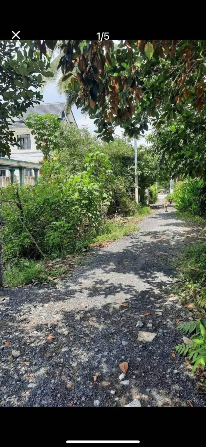 Đất thổ cư Bình Mỹ, Củ Chi 623m² giá 6.86 tỷ - Sổ hồng riêng, view rạch Ông Huyện!