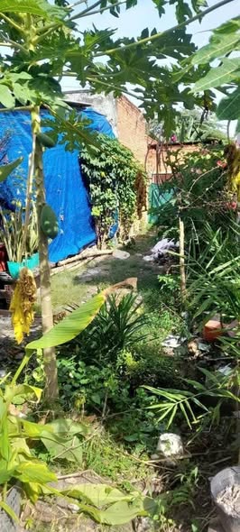 Đất thổ cư tại Hòa Thành, Tây Ninh 112m² giá chỉ 540 triệu - Sát bên trường Nguyễn Chí Thanh!