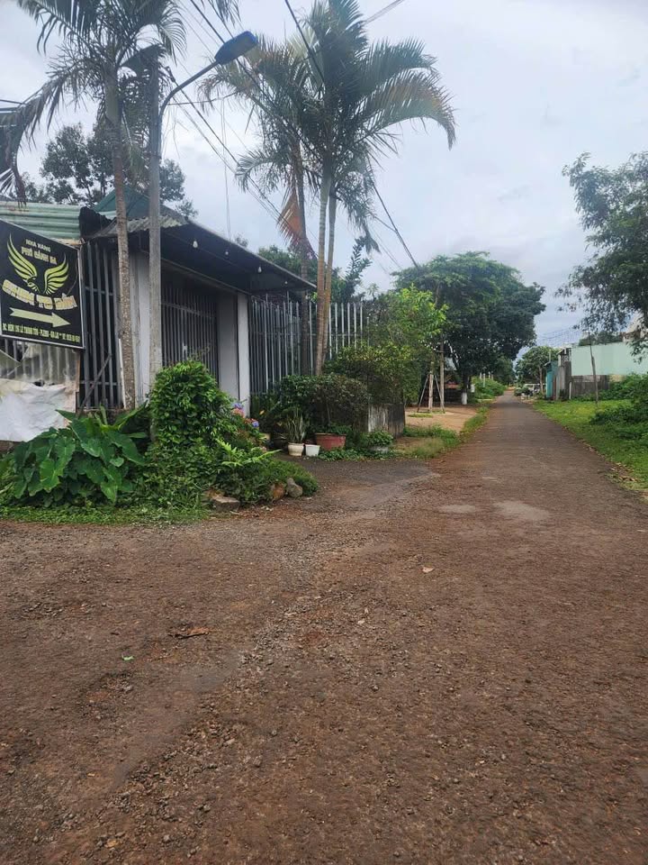 Đất nền Hẻm 196 Lê Thánh Tôn, Pleiku 104m² giá 800 triệu - Đầu tư sinh lời ngay!