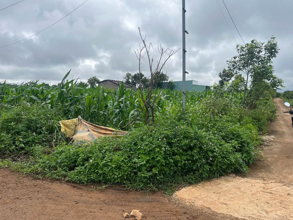 Đất nền Nguyễn Lữ, Phường Yên Thế, 130m² chỉ 500 triệu - Đầu tư sinh lời ngay!