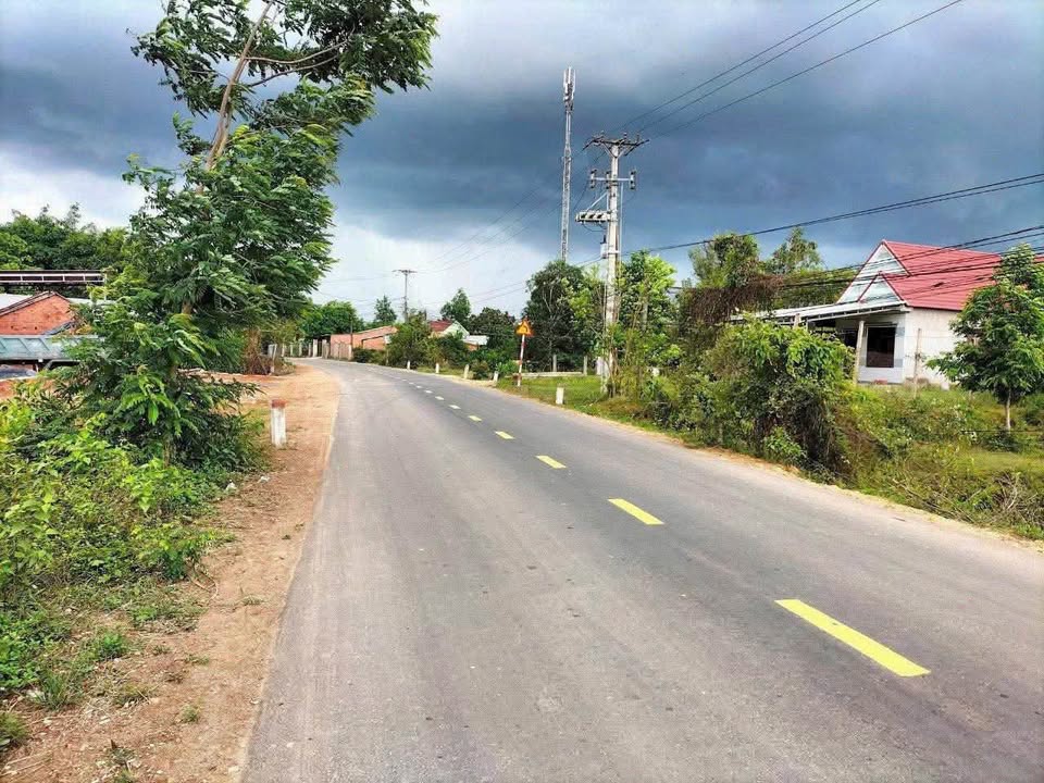 Đất đẹp mặt tiền Tỉnh lộ 8 Khánh Bình 3137m² - Cơ hội vàng cho nhà đầu tư!