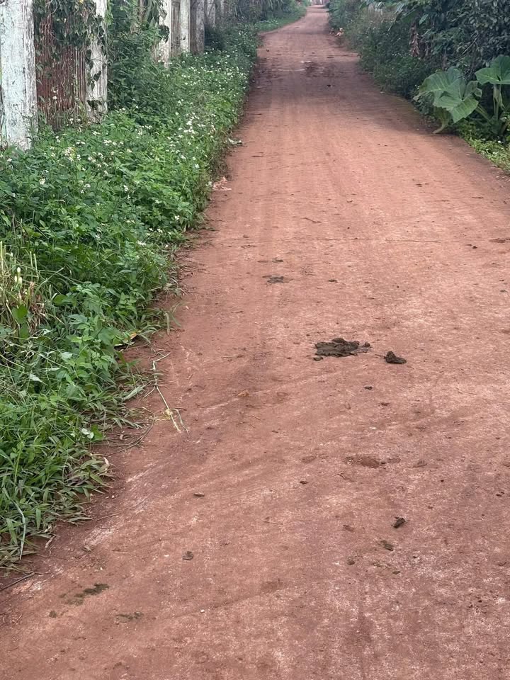 Đất nền dự án tại xã Ea Tul, Cư M'gar - Diện tích 300m², giá chỉ từ 320 triệu!