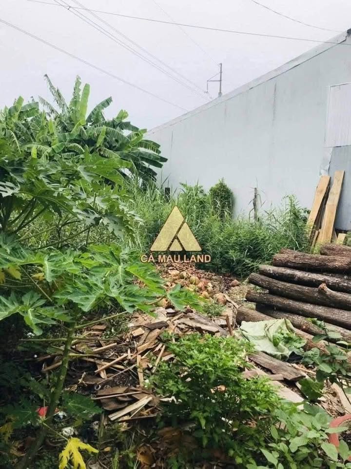 Đất phường 9 Cà Mau 352m² giá 660 triệu - Pháp lý sổ hồng chính chủ!