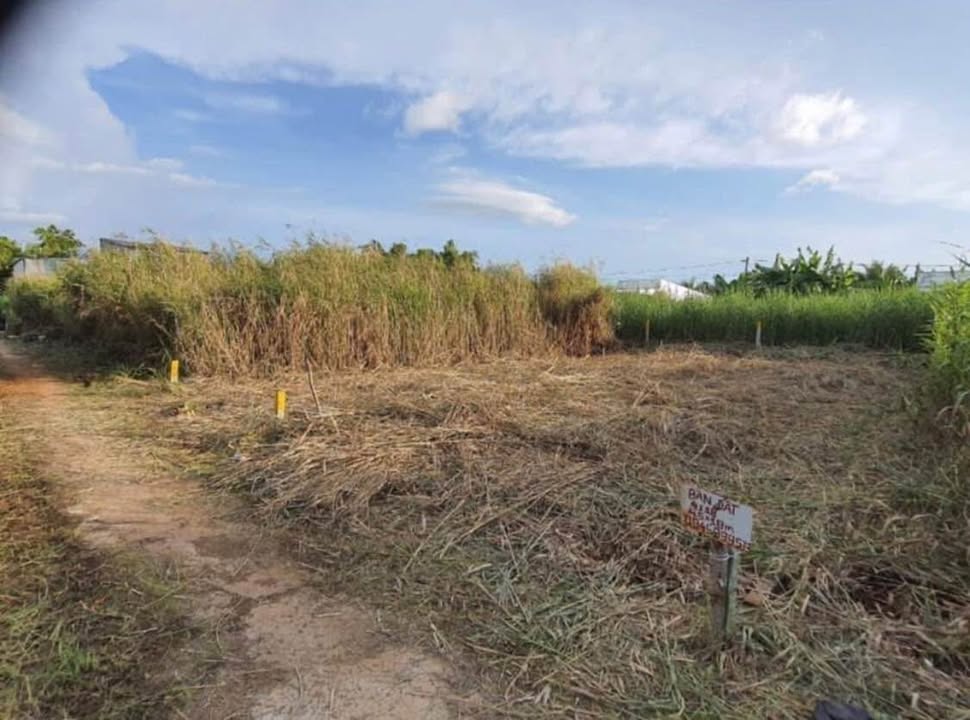 Đất nền Tân Xuyên Cà Mau 81m² giá chỉ 295 triệu - Cơ hội đầu tư tuyệt vời!