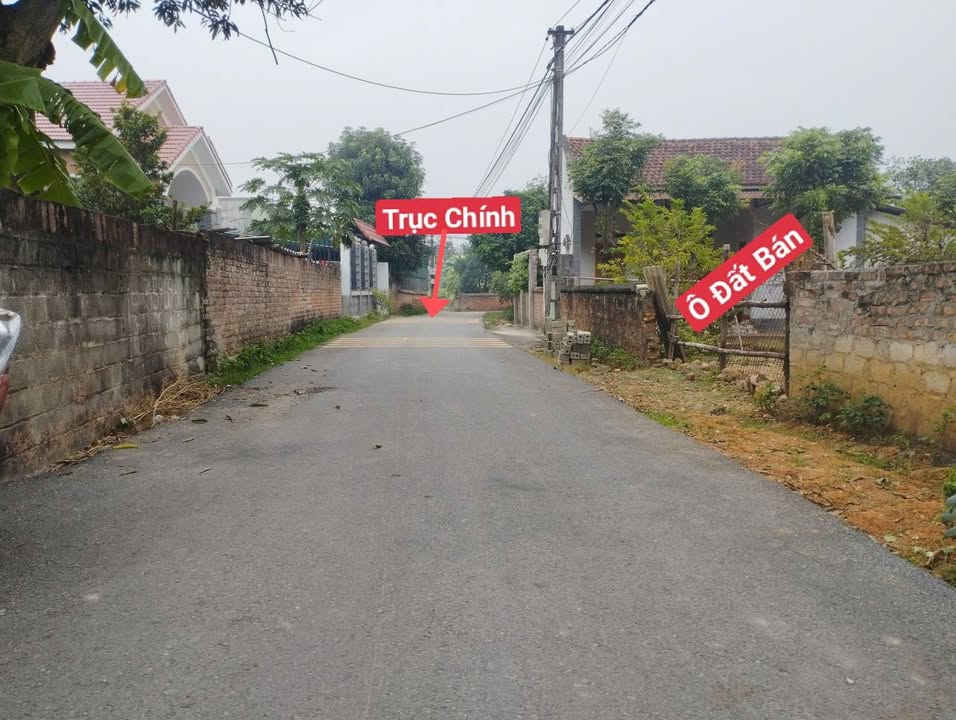 Đất Hoàng Oanh Hương Sơn, Bình Xuyên 100.4m² giá 1.3 tỷ - Tiềm năng phát triển mạnh!