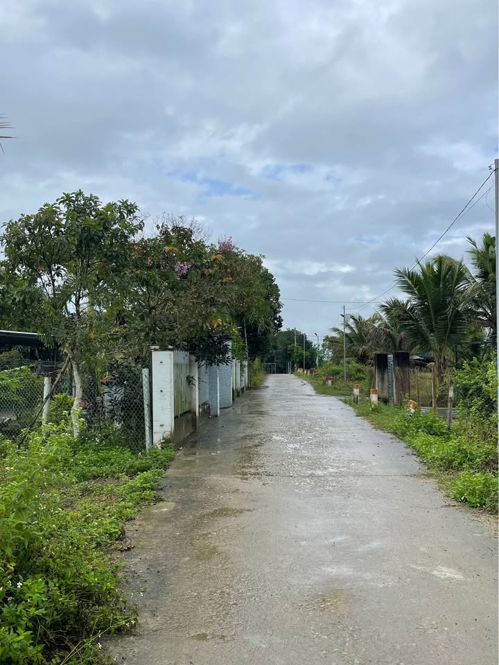 Đất vườn tại Diên Lâm 1000m² giá 1.449 tỷ - Sổ đỏ chính chủ, thương lượng ngay!