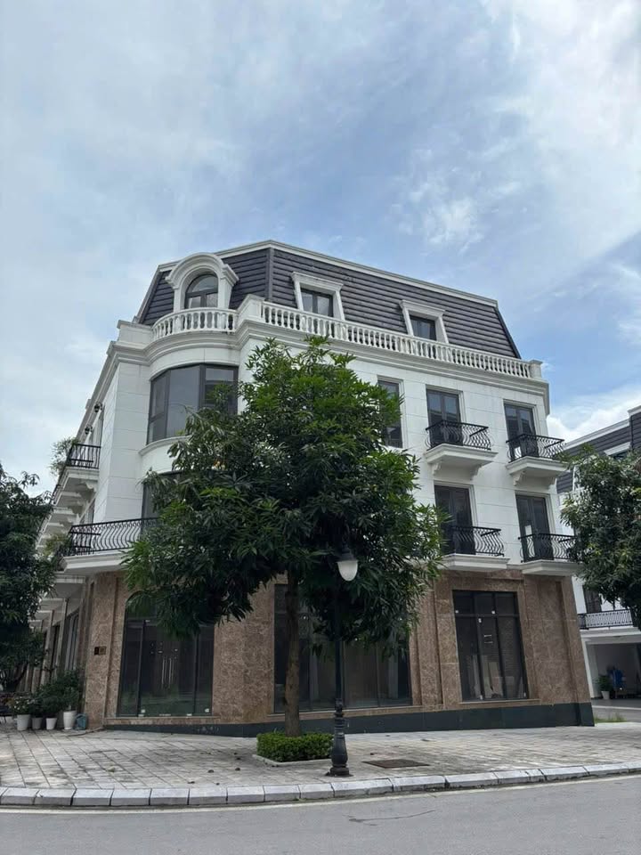 Shophouse 254 đường Hoàng Liên, Lào Cai 114m² giá 5.9 tỷ - Cơ hội vàng cho nhà đầu tư!