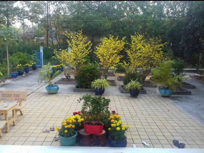 Đất thổ cư 1037m² tại Thị Trấn Vĩnh Bình, Gò Công Tây - Giá 4.5 tỷ cực hấp dẫn!