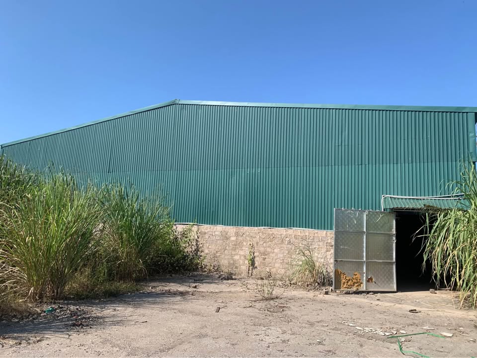 Nhà xưởng cho thuê tại Thôn Chân Đèo, Hạ Long 500m² - Đường xe công vào tận nơi!