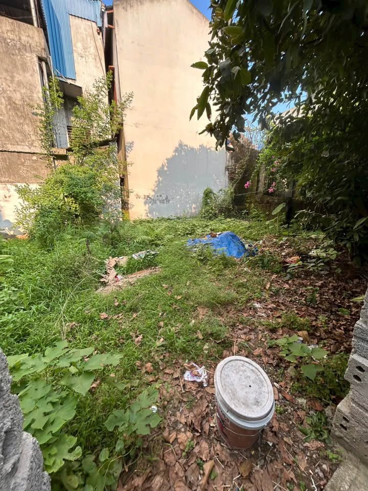 Đất nền chính chủ ngõ 188 Trần Quang Khải 83m² giá 1.25 tỷ - Cơ hội vàng cho đầu tư!