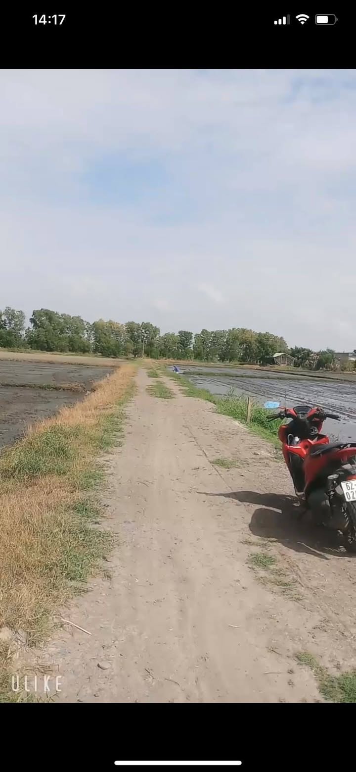 Đất thổ cư 125m² tại Mỹ Hạnh Bắc, giá 750 triệu - Cơ hội đầu tư tuyệt vời!