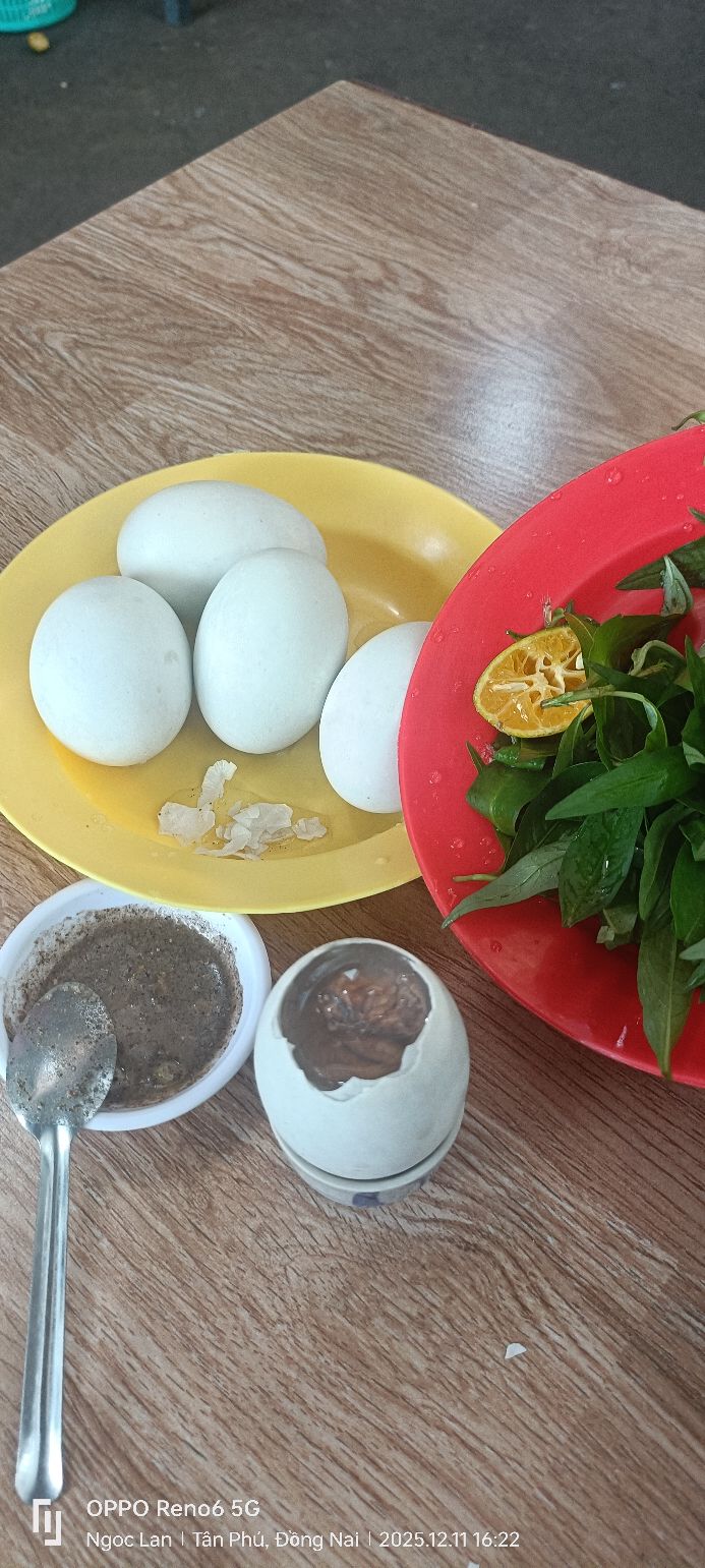 Đất thổ cư Phú Hòa, Định Quán 150m² chỉ 450 triệu - Sổ hồng chính chủ!