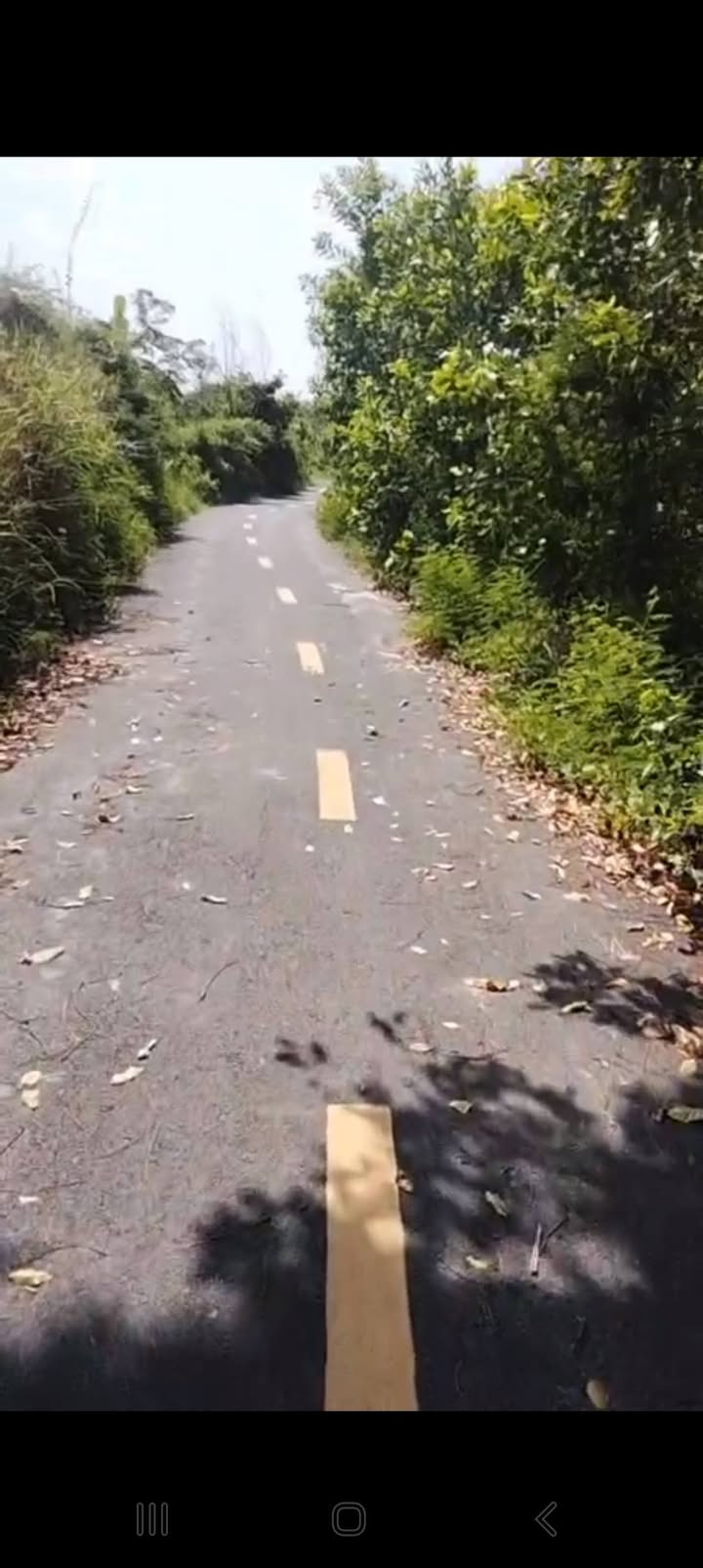 Đất thổ cư 12000m² Bình Châu, Xuyên Mộc, 18 tỷ - Mặt tiền đường nhựa rộng rãi!