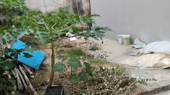 Đất thổ cư Gia Thượng, Quang Minh, Mê Linh 62m² - Gần chợ và nhiều tiện ích!