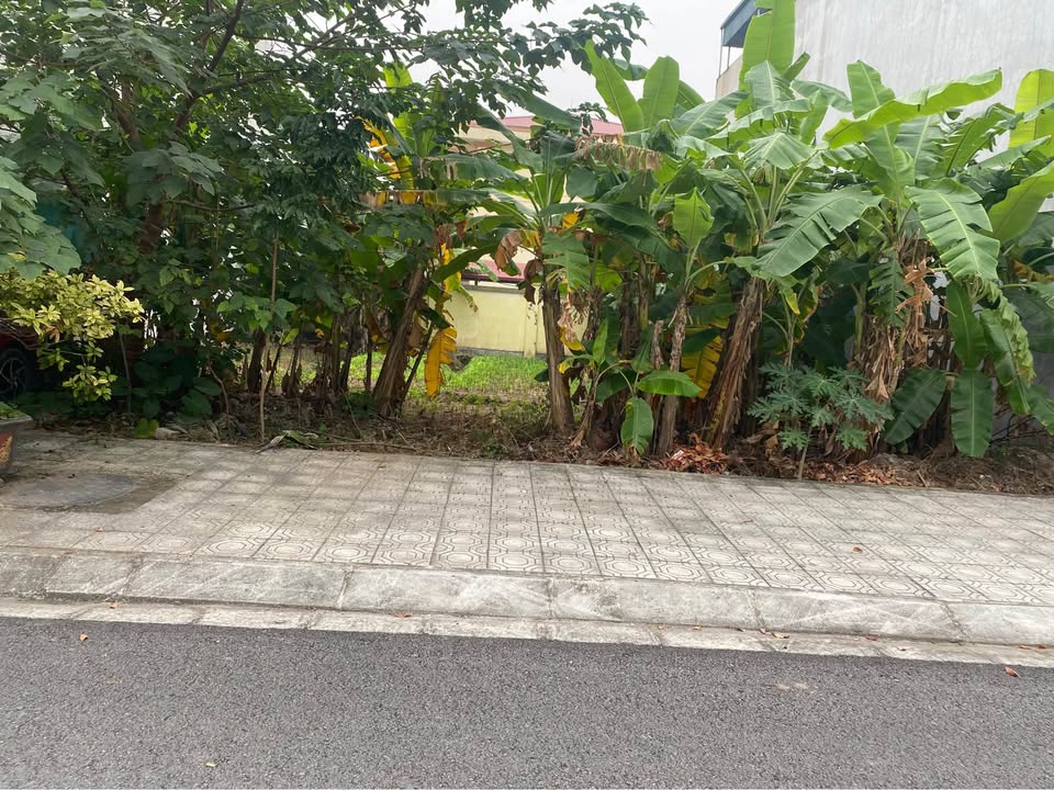 Lô đất vàng Liêm Chung, Phủ Lý 88m² giá 3 tỷ - Cơ hội đầu tư tuyệt vời!