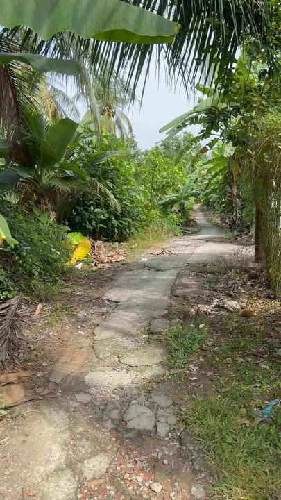 Đất vườn 2 công 1 tại xã Đông Hòa Hiệp, Cái Bè 20100m² - Đầu tư lý tưởng cho nghỉ dưỡng!