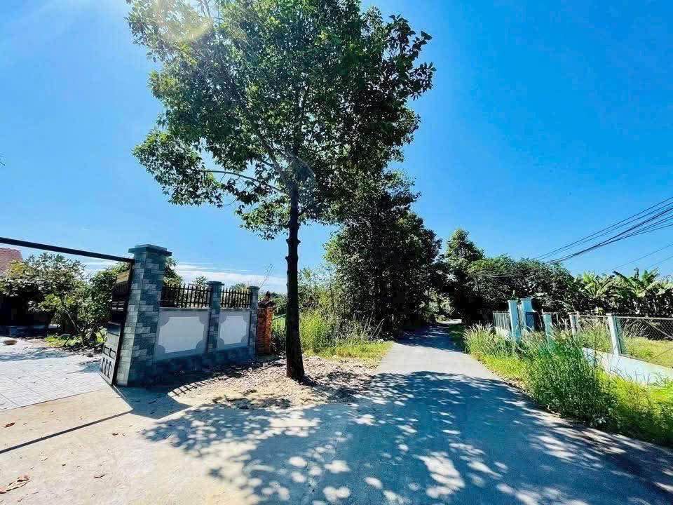 Nhà vườn gỗ 480m² tại Ấp Trung, Củ Chi chỉ 4.2 tỷ - Cơ hội đầu tư tuyệt vời!