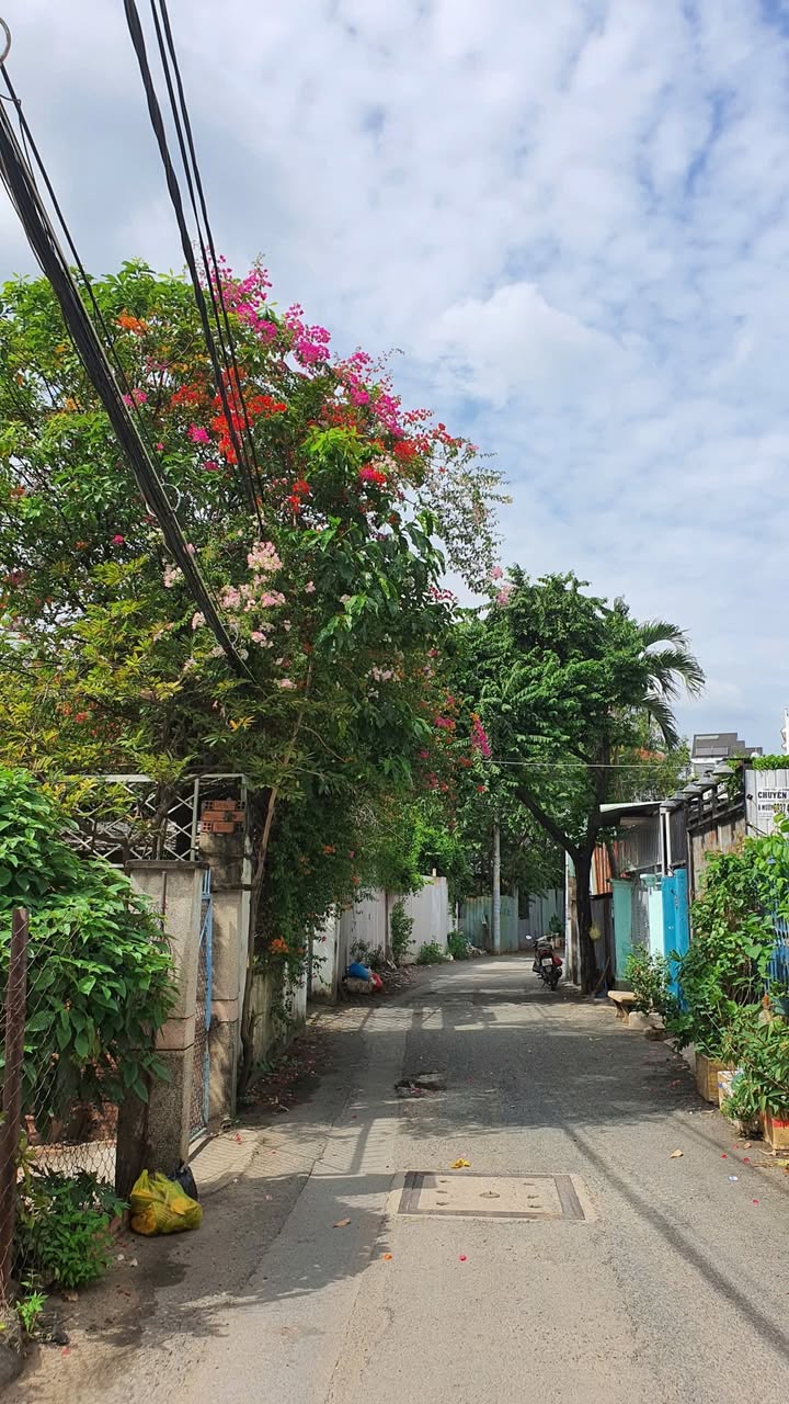 Đất thổ cư mặt tiền Trịnh Khắc Lập, Thủ Đức - 140,4m² giá 15,6 tỷ - Cơ hội đầu tư hiếm có!