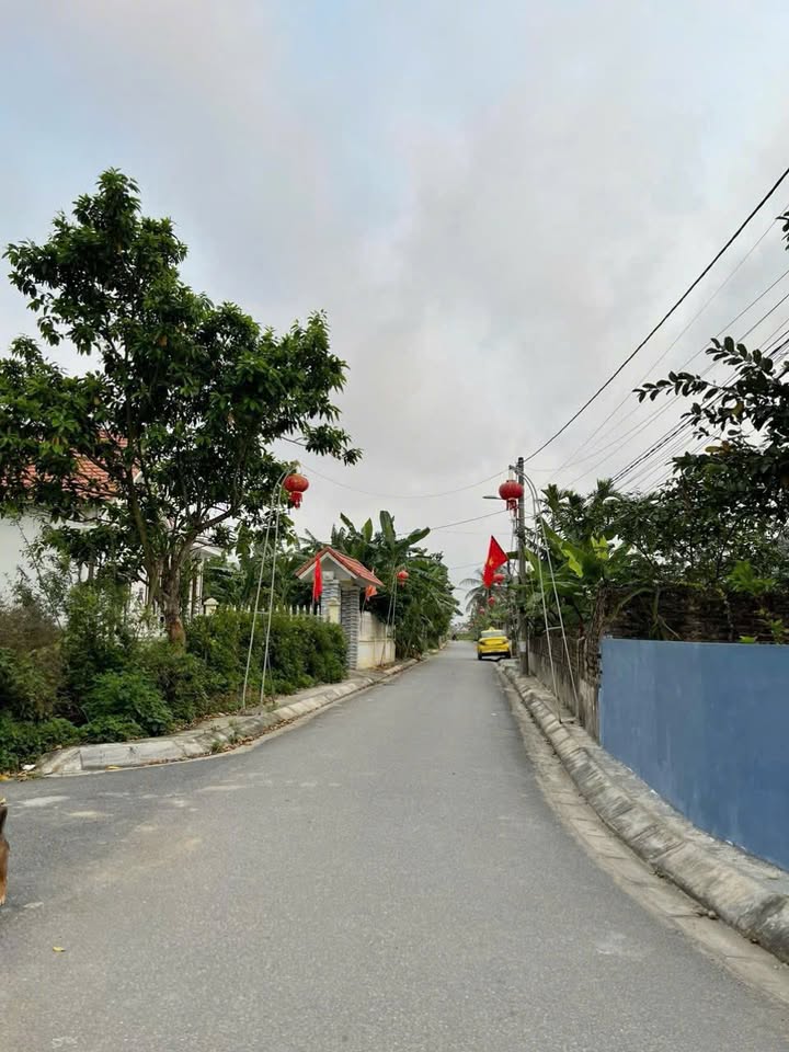 Đất nền Minh Đức Đồ Sơn 260m² giá chỉ 2 tỷ - Tiềm năng sinh lời cao!