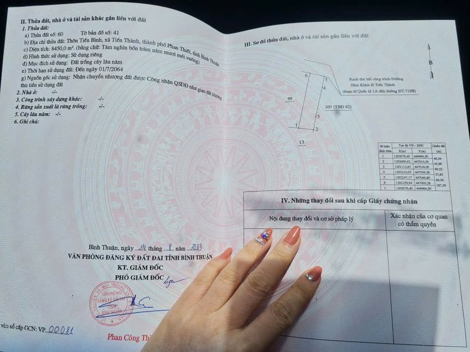 Đất Farm Mặt tiền đường Hàm Kiệm - Tiến Thành 8450m² giá 11 tỷ - Cơ hội đầu tư hiếm có!