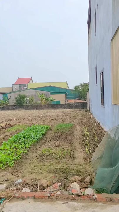 Đất nền Nghi Kim Vinh 124m² giá 1.9 tỷ - Vị trí đắc địa gần trung tâm!