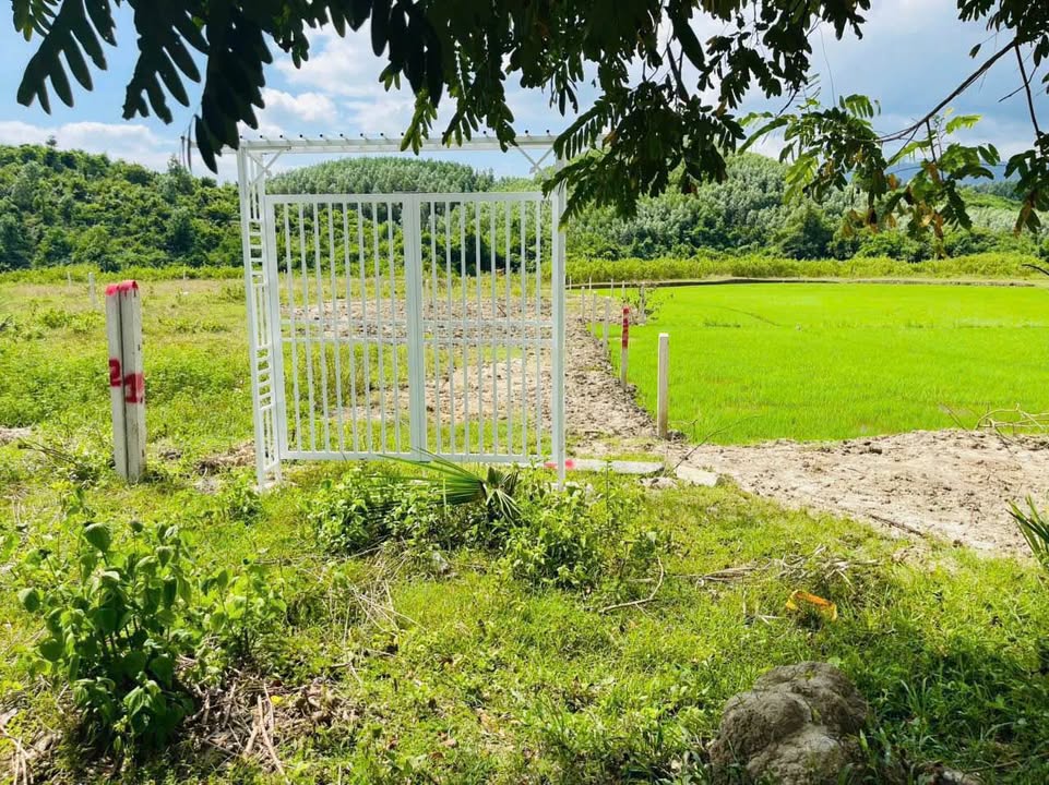 Đất nền Khánh Bình 500m² giá 119 triệu - Sổ đỏ chính chủ, ô tô vào tận nơi!