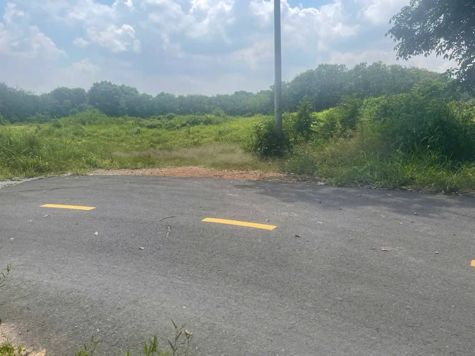 Đất SKC Vĩnh Tân, Tân Uyên 29942m² giá 3,7 triệu/m² - Cơ hội đầu tư hấp dẫn!