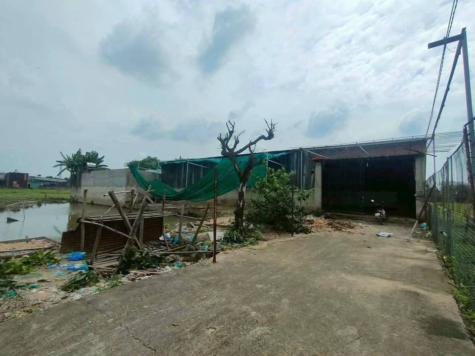 Xưởng sản xuất 500m² giá 4.25 tỷ - Đầu tư sinh lời tại Bình Chánh!