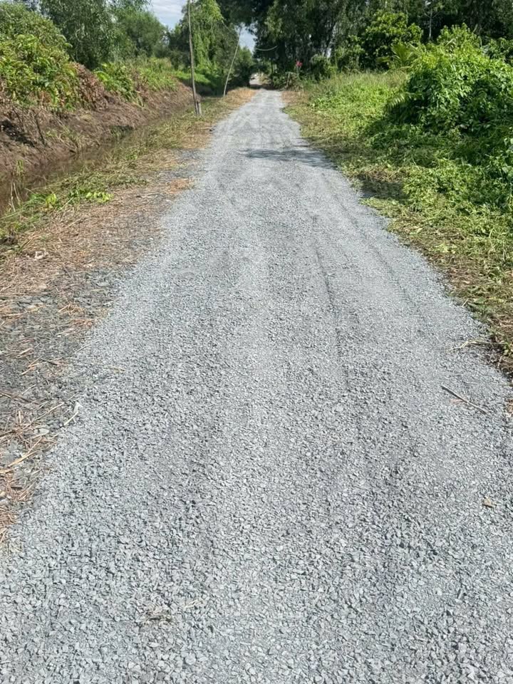 Đất vườn Bến Lức Long An 1000m² giá 490 triệu - Đường xe hơi, chính chủ!